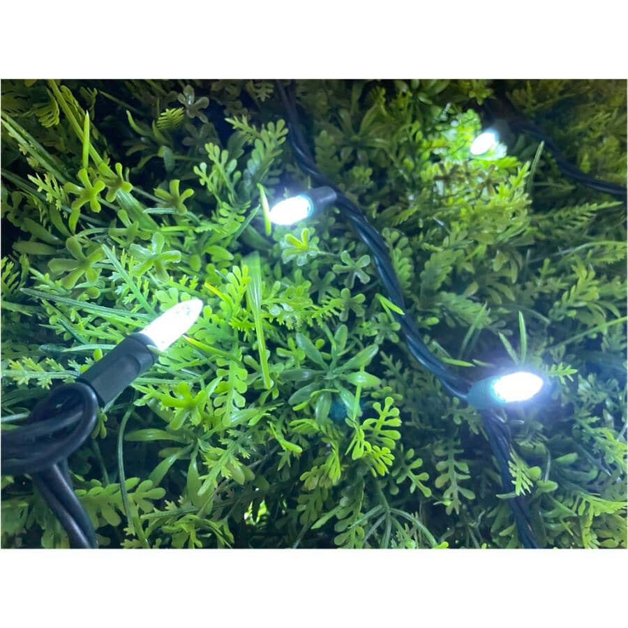 35 LED Pure White M5 Light Set - with Green Wire