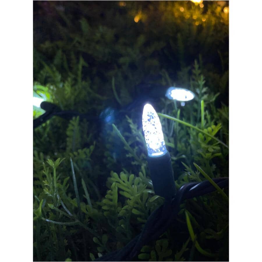 35 LED Pure White M5 Light Set - with Green Wire