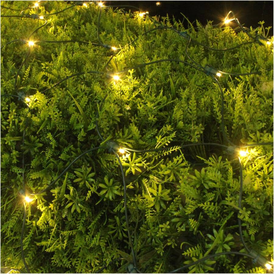 Twinkling Net 5 mm Light Set - Warm White, 70 LEDs