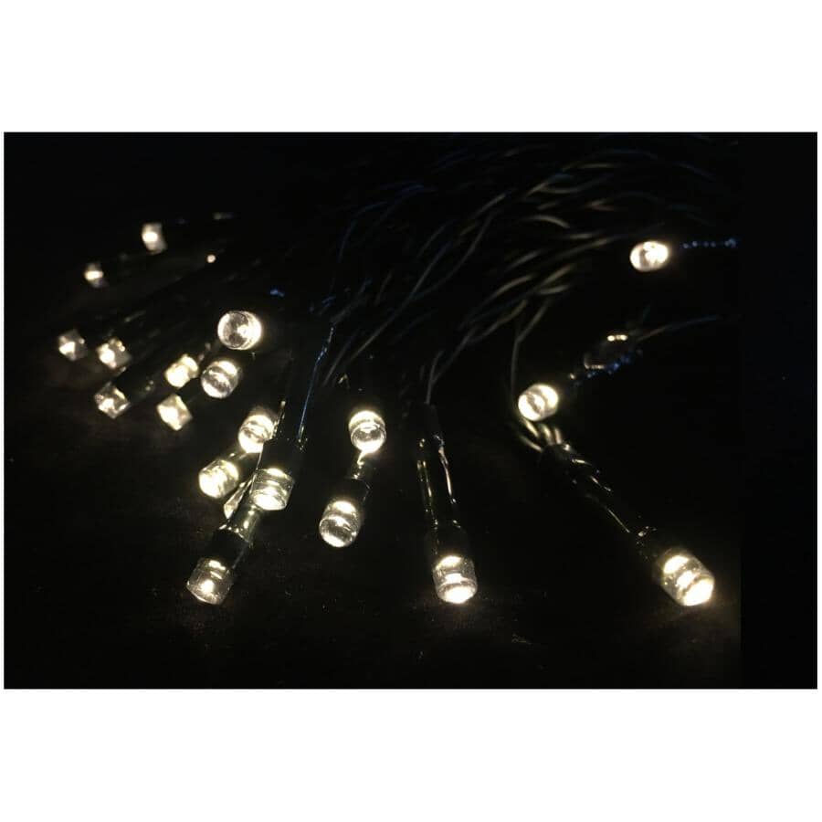 M5 Solar Light Set with Green Wire - Warm White, 50 LEDs