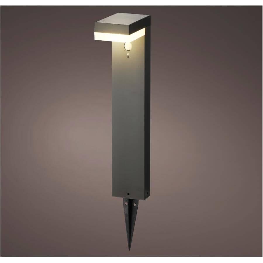 Solar Garden Stake Light - with Motion Sensor, Stainless Steel