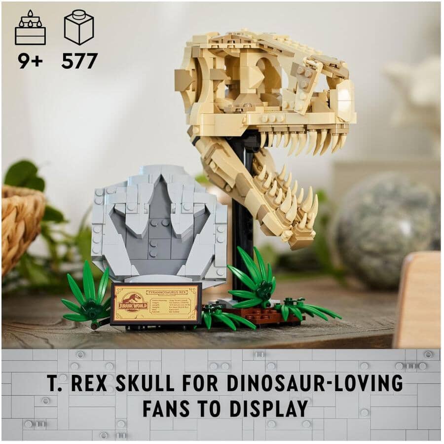 Dinosaur Fossils: T.Rex Skull Building Set - 577 Pieces