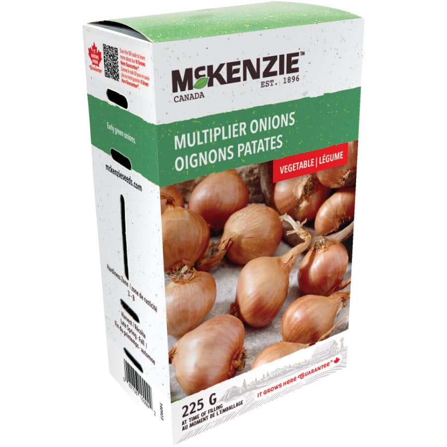 225g Multiplier Onion Bulbs