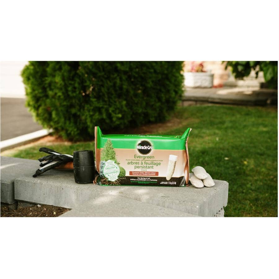 10 Pack 12-6-12 Evergreen Fertilizer Spikes