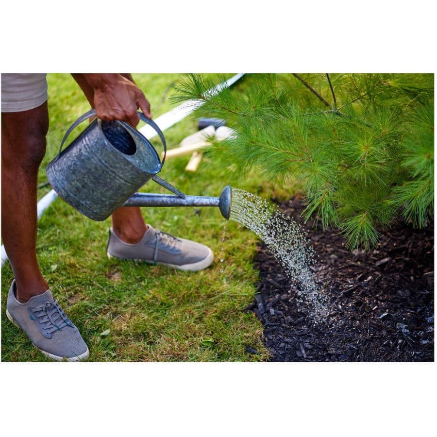 10 Pack 12-6-12 Evergreen Fertilizer Spikes