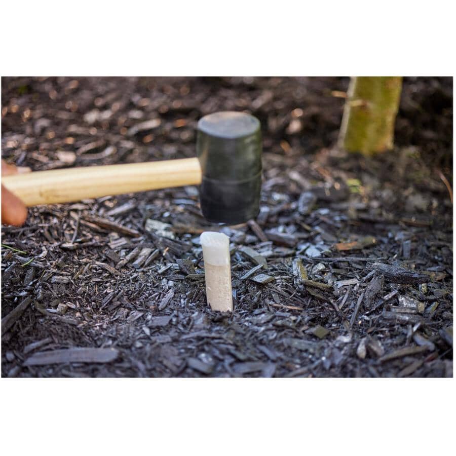 10 Pack 12-6-12 Evergreen Fertilizer Spikes