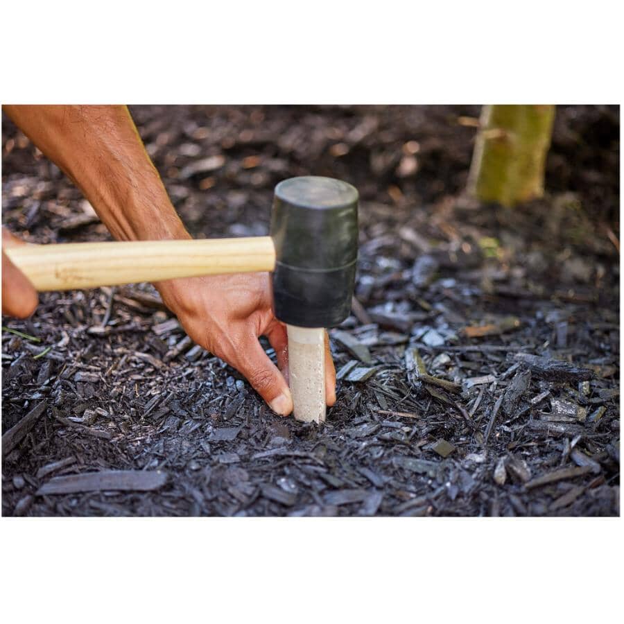 10 Pack 12-6-12 Evergreen Fertilizer Spikes