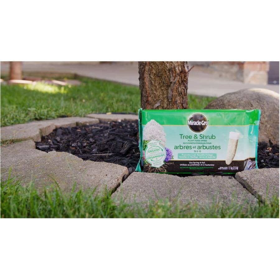 10 Pack 15-5-10 Tree and Shrub Fertilizer Spikes