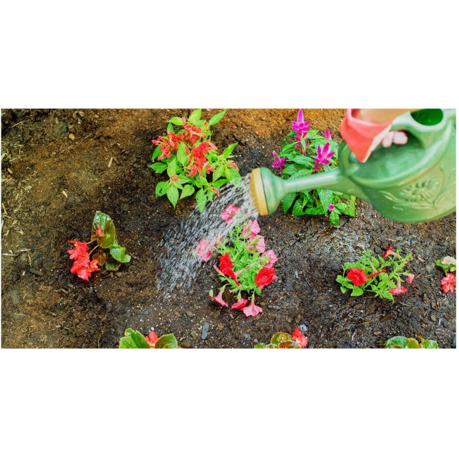 12-4-8 Liquid All Purpose Fertilizer - 950 ml