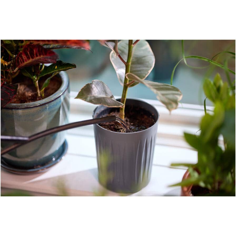 All Purpose Indoor Foam Plant Food - 236mL