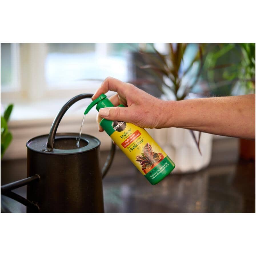 All Purpose Indoor Foam Plant Food - 236mL