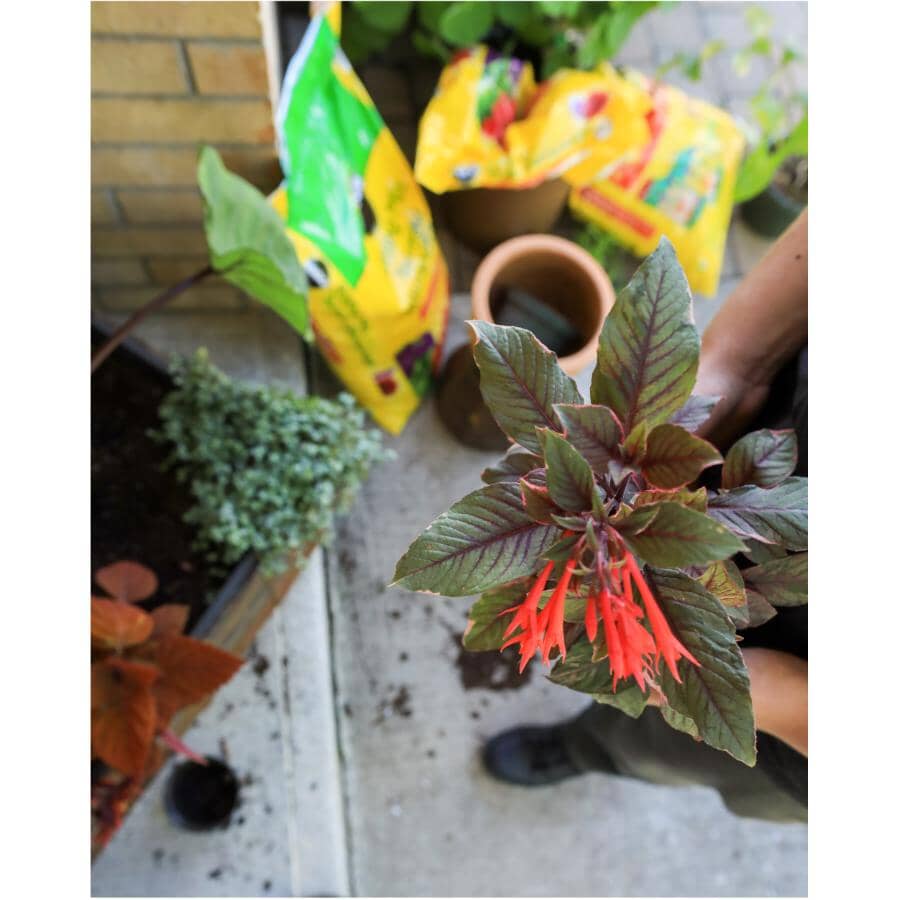 All Purpose Potting Soil Mix - 25 L