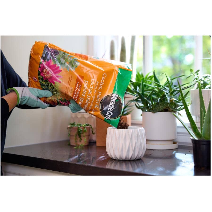 Cactus, Palm & Succulent Potting Mix Soil - 8.8 L