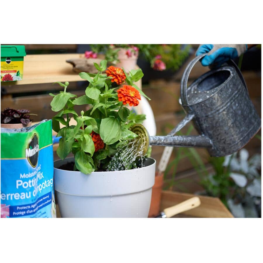 Moisture Control Potting Soil - 25 L