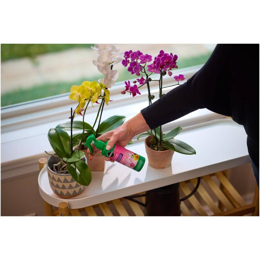 Orchid Plant Food Mist Fertilizer - Ready-To-Use, 236 ml