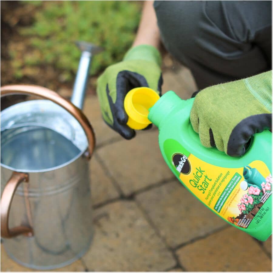 Quick Start Planting & Transplant Solution - 4-12-4, 1.42 L
