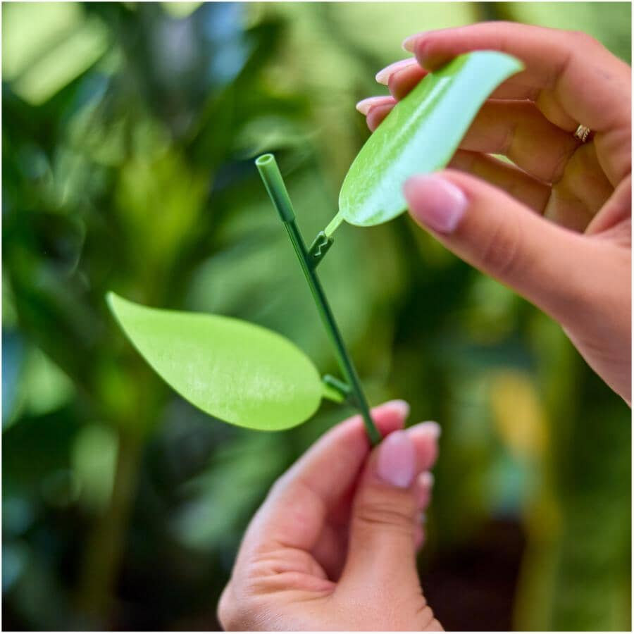 Sticky Gnat Traps - 10 Pack