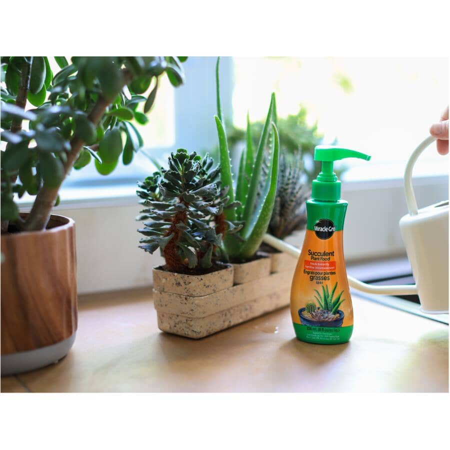 Succulent Plant Food - 0.5-1-1 - 236 ml