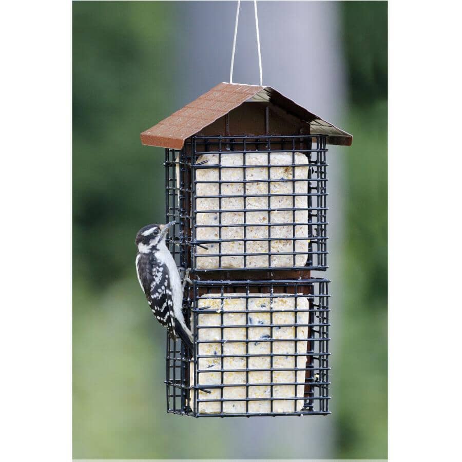 Four Cake Suet Buffet Bird Feeder with Weather Guard - Brown