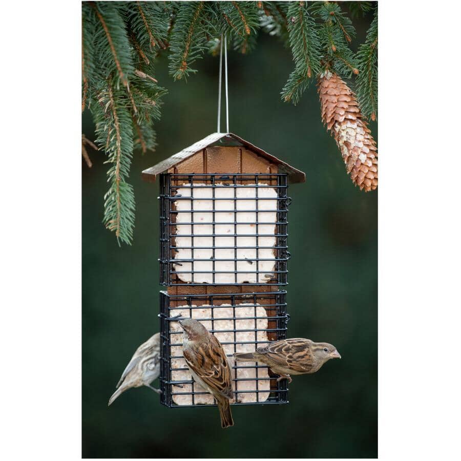 Four Cake Suet Buffet Bird Feeder with Weather Guard - Brown