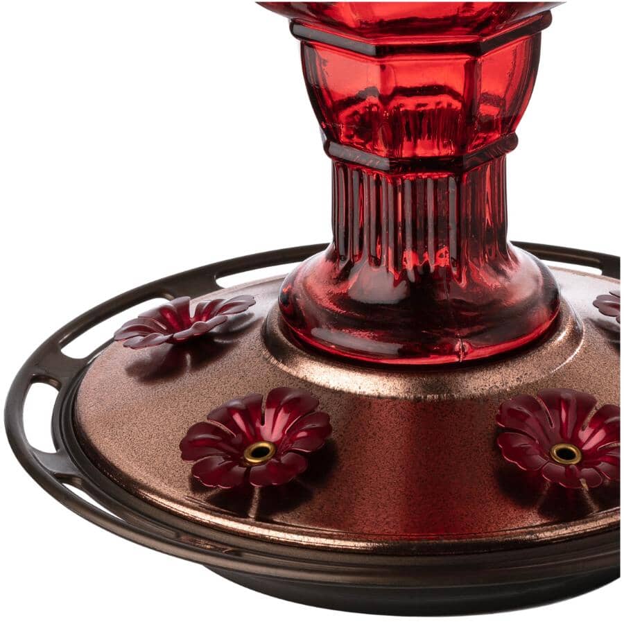 Red Jewel Glass Hummingbird Feeder - 20 oz Capacity
