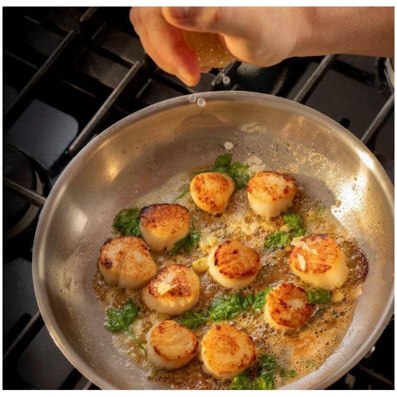 Tri-Ply Clad Stainless Steel Frypan - 8"/20 cm