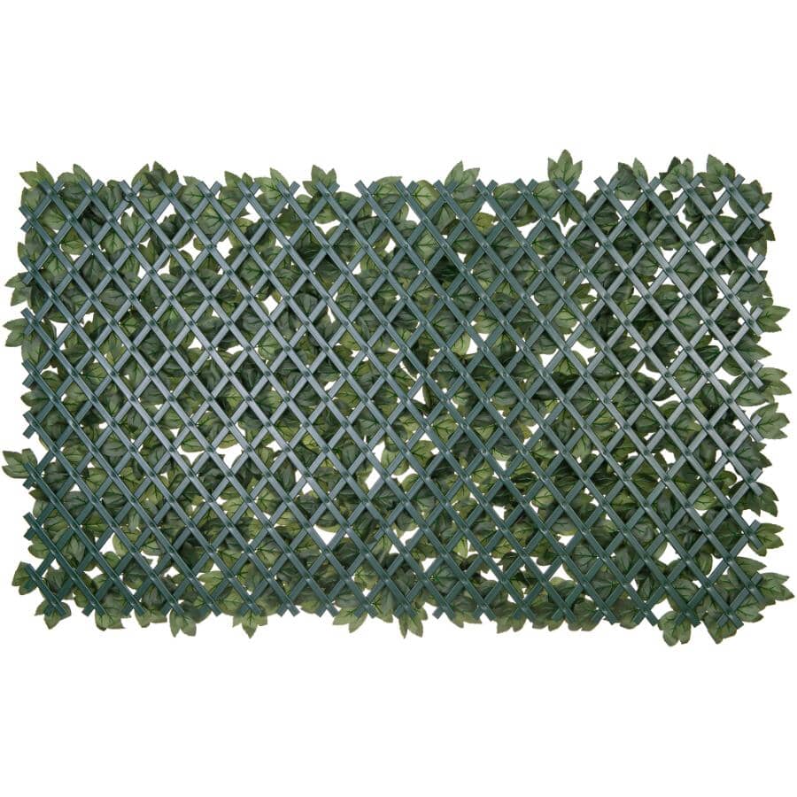 Expandable PVC Trellis with Ivy Leaf - 36" x 72"