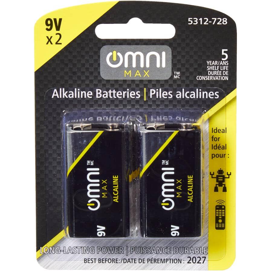 6LR61 Alkaline 9V Batteries, 2 Pack
