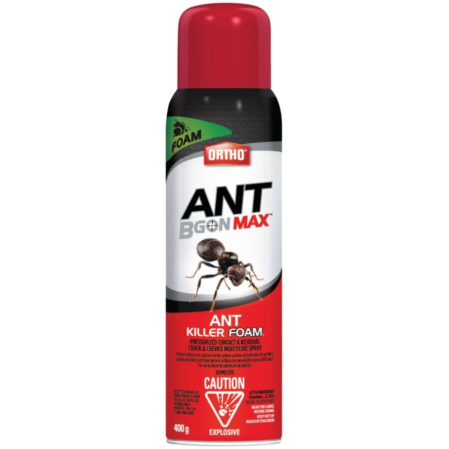 Ant B Gon MAX Ant Killer Foam - 400g