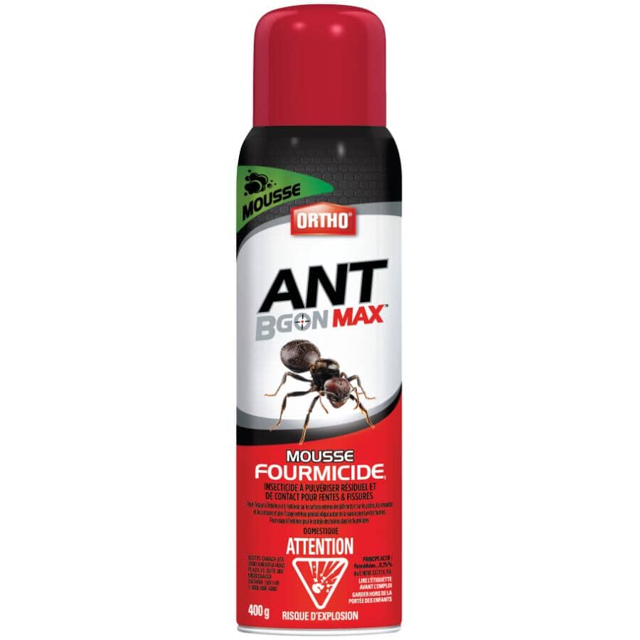 Ant B Gon MAX Ant Killer Foam - 400g