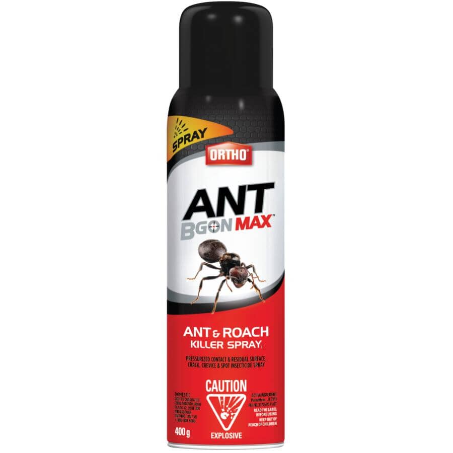 Ant B Gon MAX Ant & Roach Killer Spray - 400g