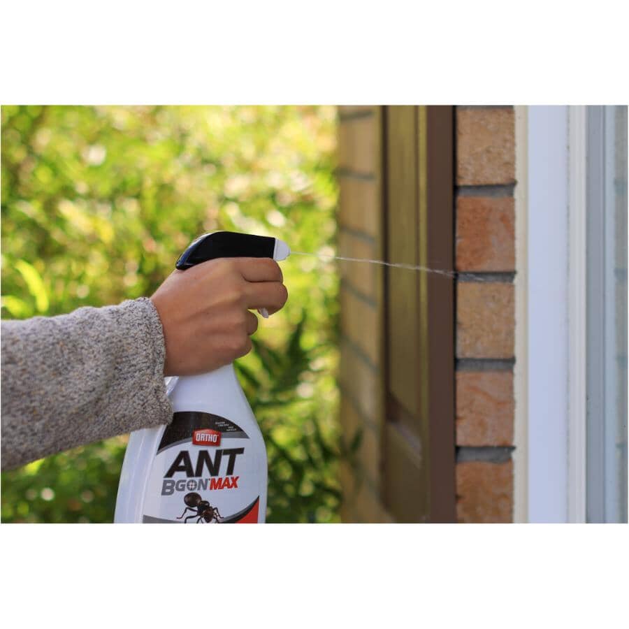 Ant B Gon Max - Ready To Use, 1 L