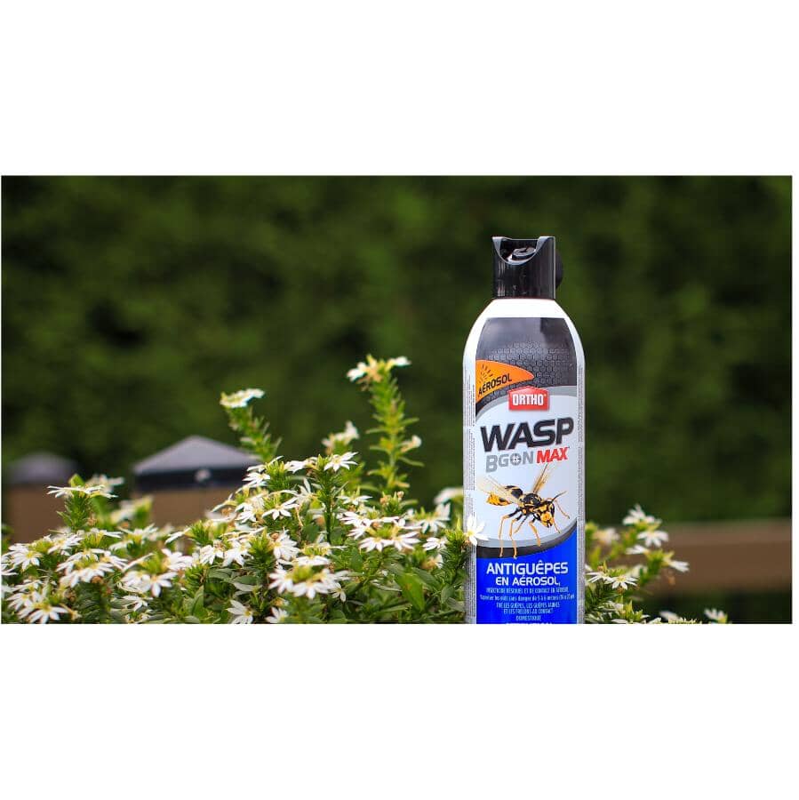 Wasp B Gon MAX Killer Spray - 400g
