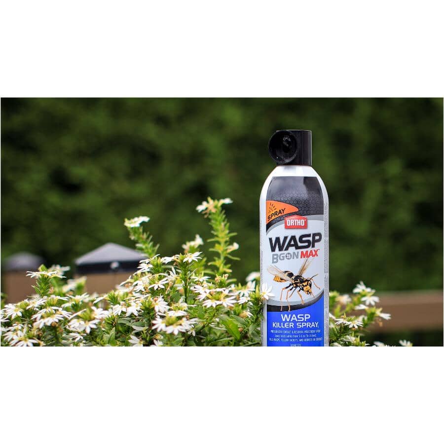 Wasp B Gon MAX Killer Spray - 400g