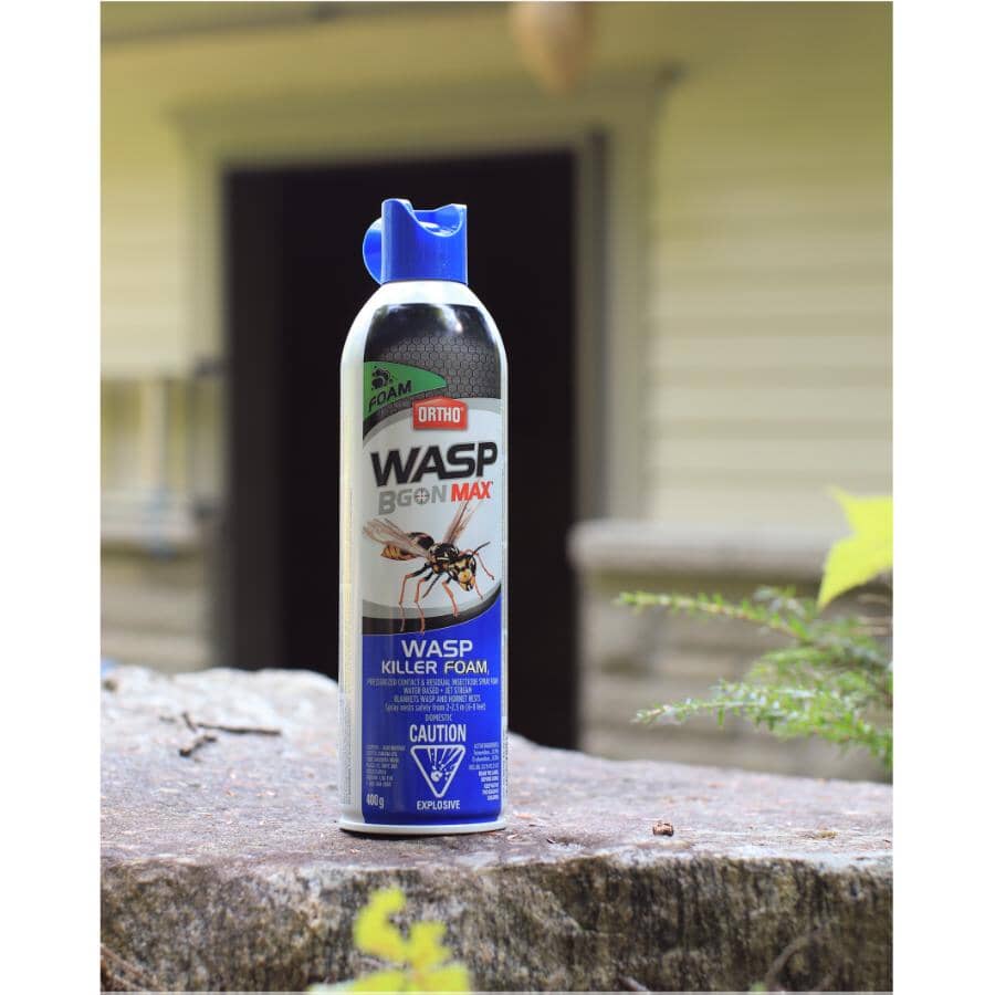 Wasp B Gon MAX Killer Spray Foam - 400g