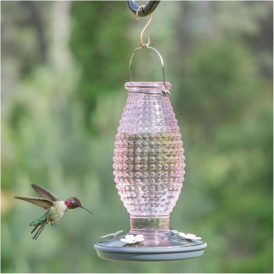 Hobnail Vintage Glass Hummingbird Feeder - Cranberry, 16 oz
