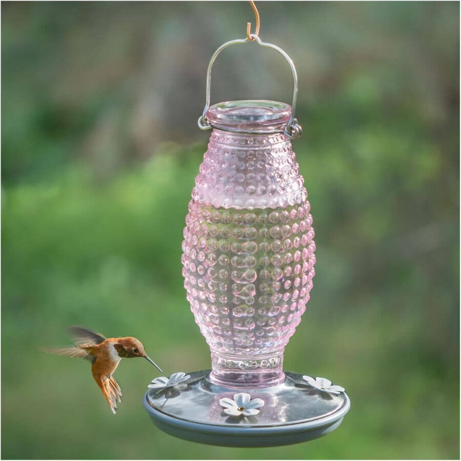 Hobnail Vintage Glass Hummingbird Feeder - Cranberry, 16 oz