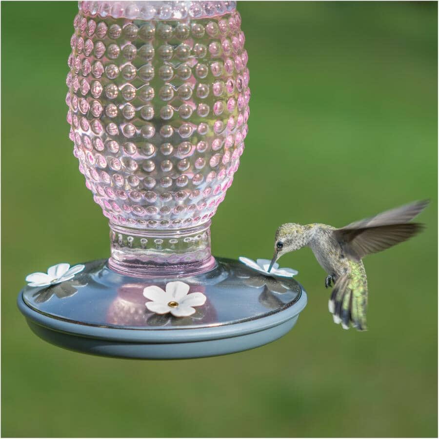 Hobnail Vintage Glass Hummingbird Feeder - Cranberry, 16 oz