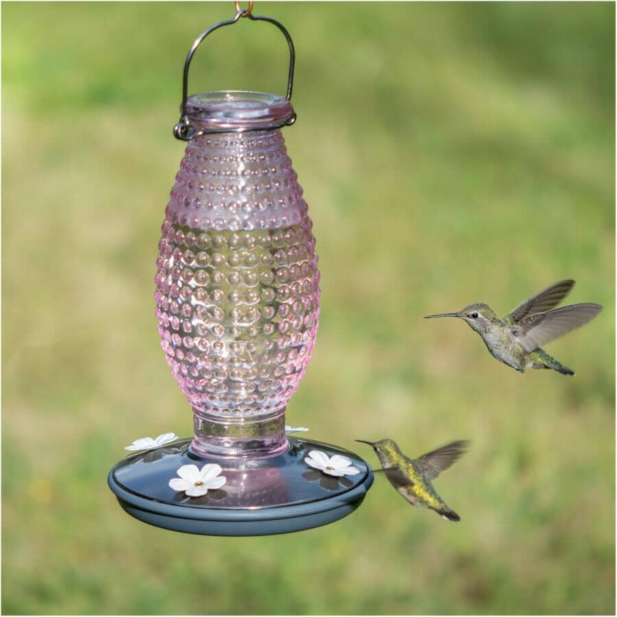 Hobnail Vintage Glass Hummingbird Feeder - Cranberry, 16 oz