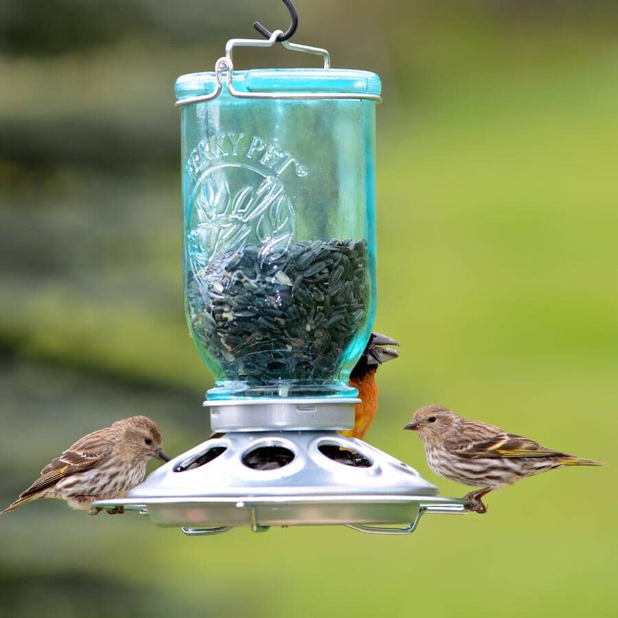 Mason Jar Glass Bird Feeder - Blue, 1 lb Capacity
