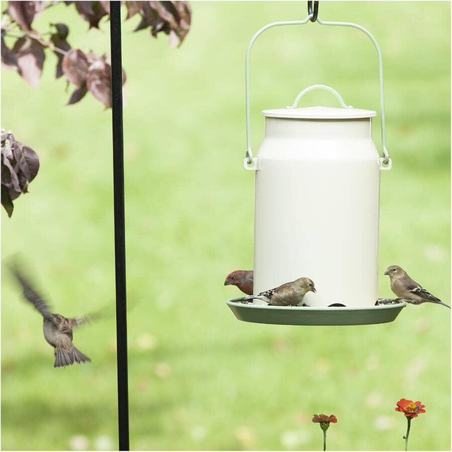 Milk Pail Bird Feeder - 5 lb Capacity