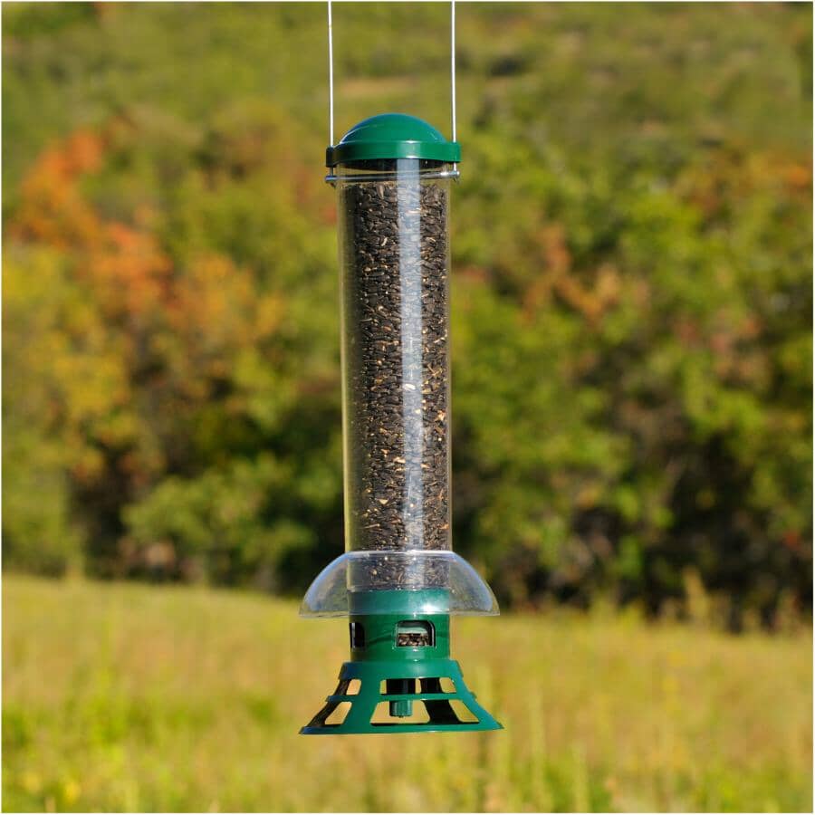 Squirrel Slammer Bird Feeder - 3.5 lb Capacity