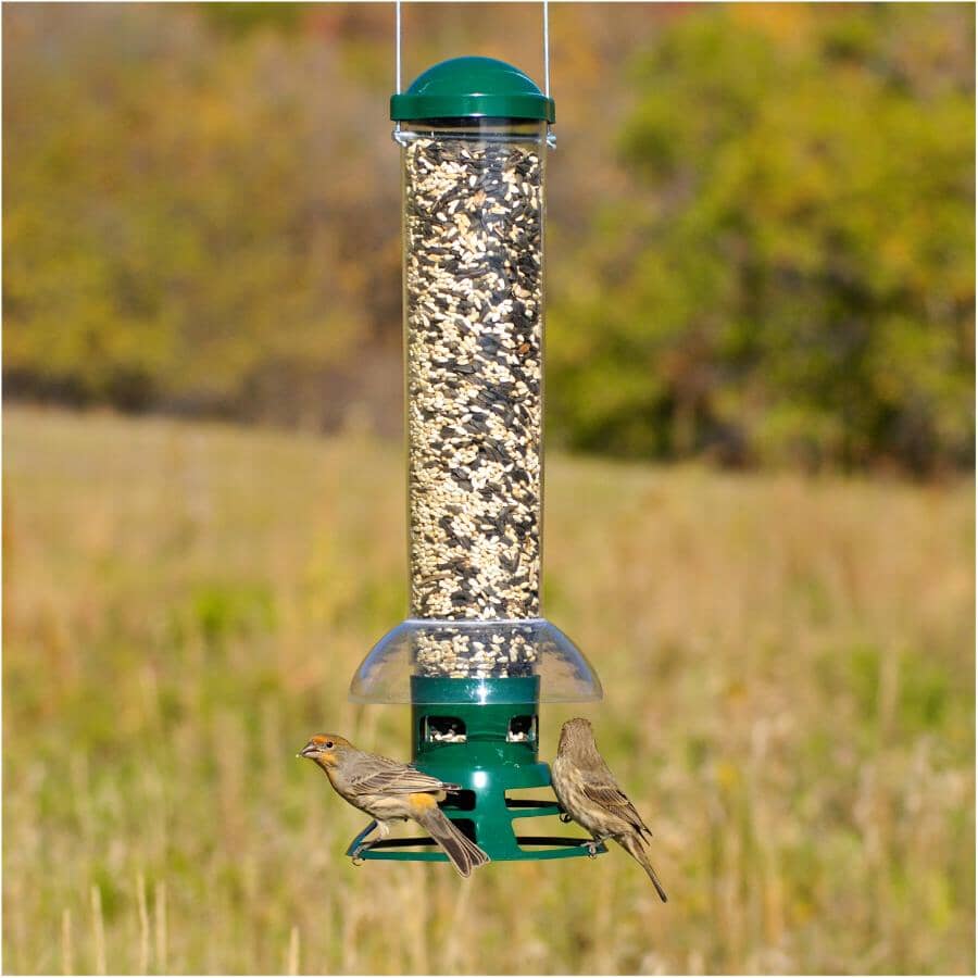 Squirrel Slammer Bird Feeder - 3.5 lb Capacity