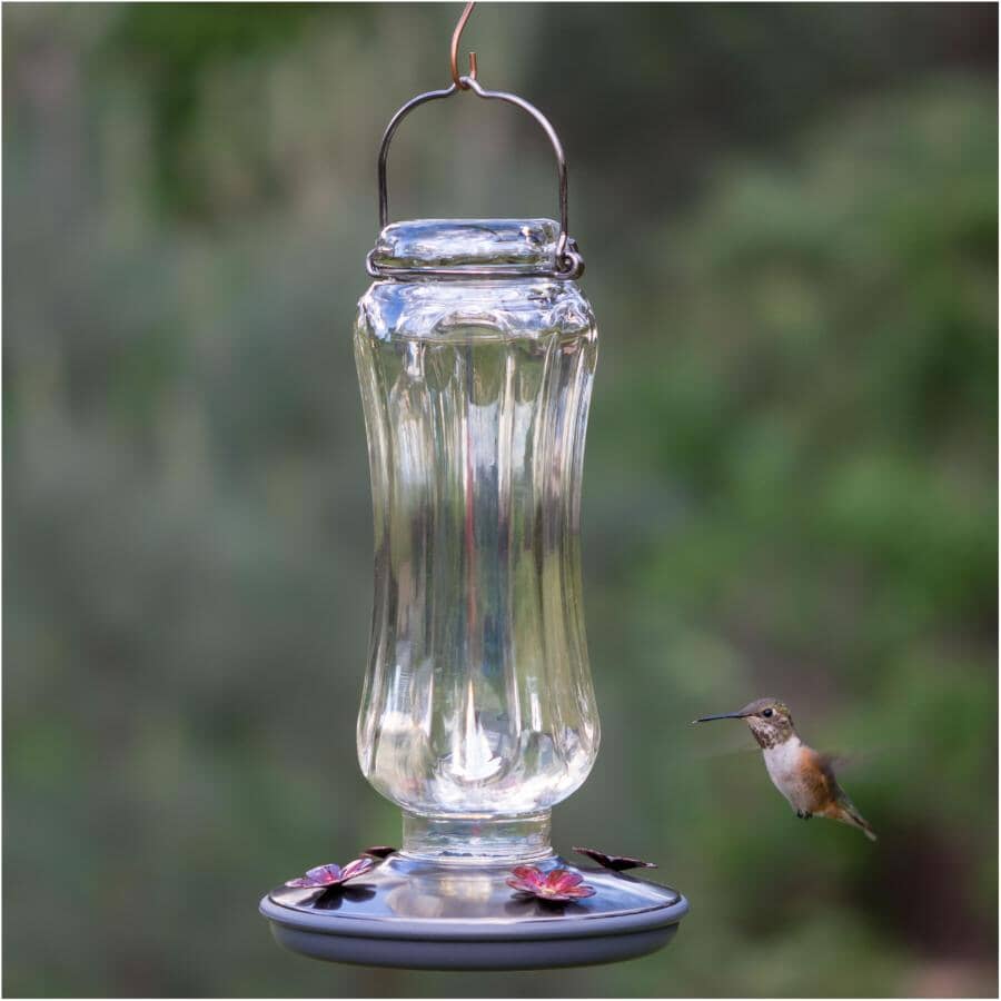 Starglow Vintage Glass Hummingbird Feeder - Clear, 16 oz