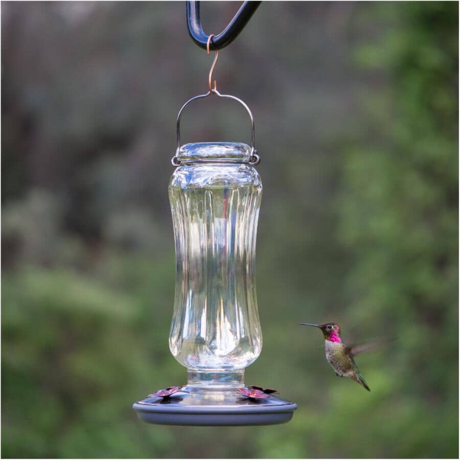 Starglow Vintage Glass Hummingbird Feeder - Clear, 16 oz