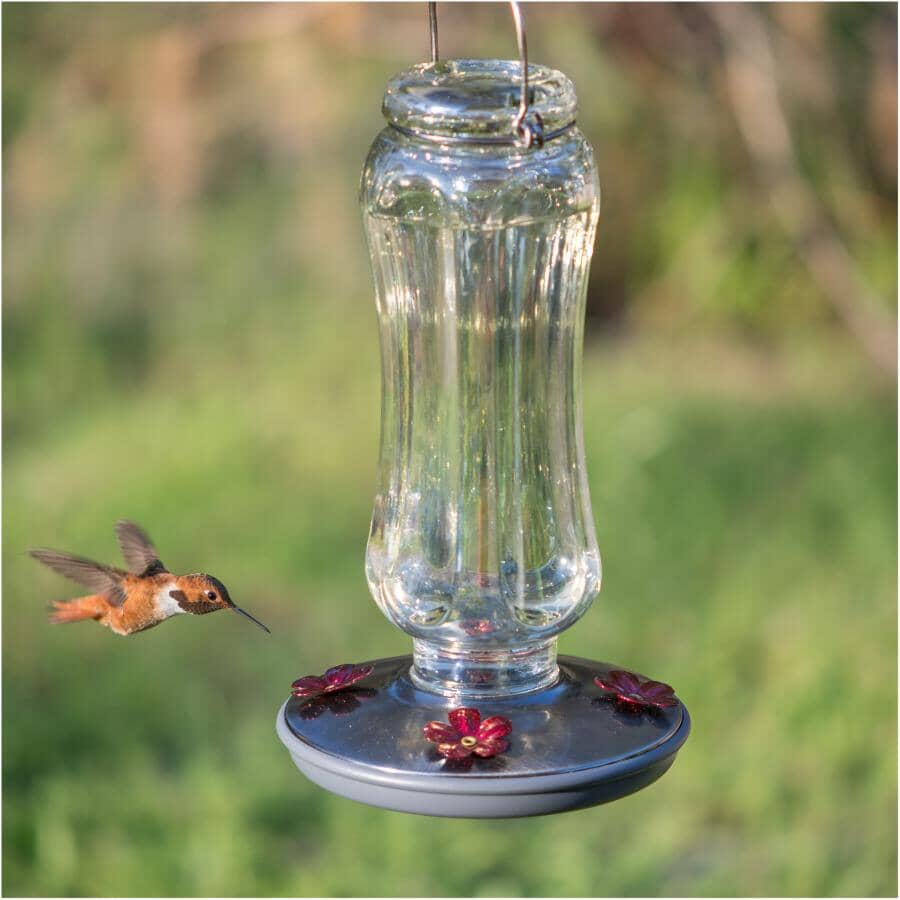 Starglow Vintage Glass Hummingbird Feeder - Clear, 16 oz