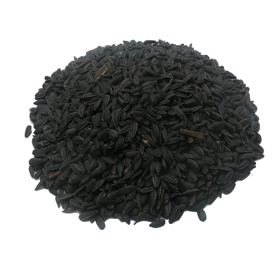 Black Oil Sunflower Bird Seed - 9 kg