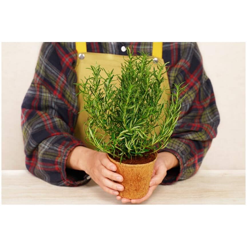 4" Fiber Grow Pots - 6 Pack