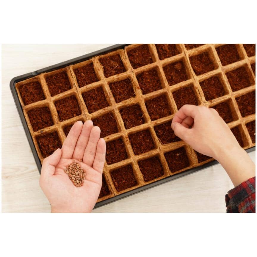 50 Cell Fiber Grow Seed Starter Tray