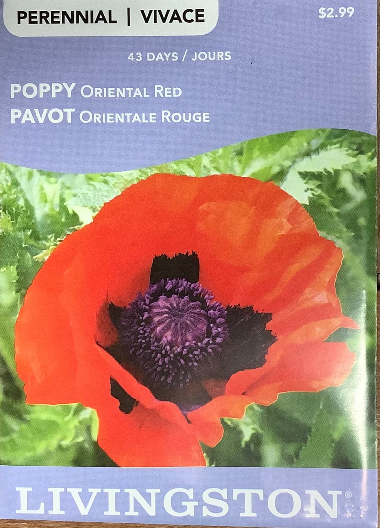 Oriental Red Poppy Seeds